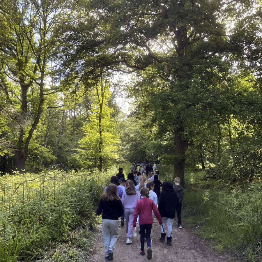 Residential Journeys - Bushcraft.